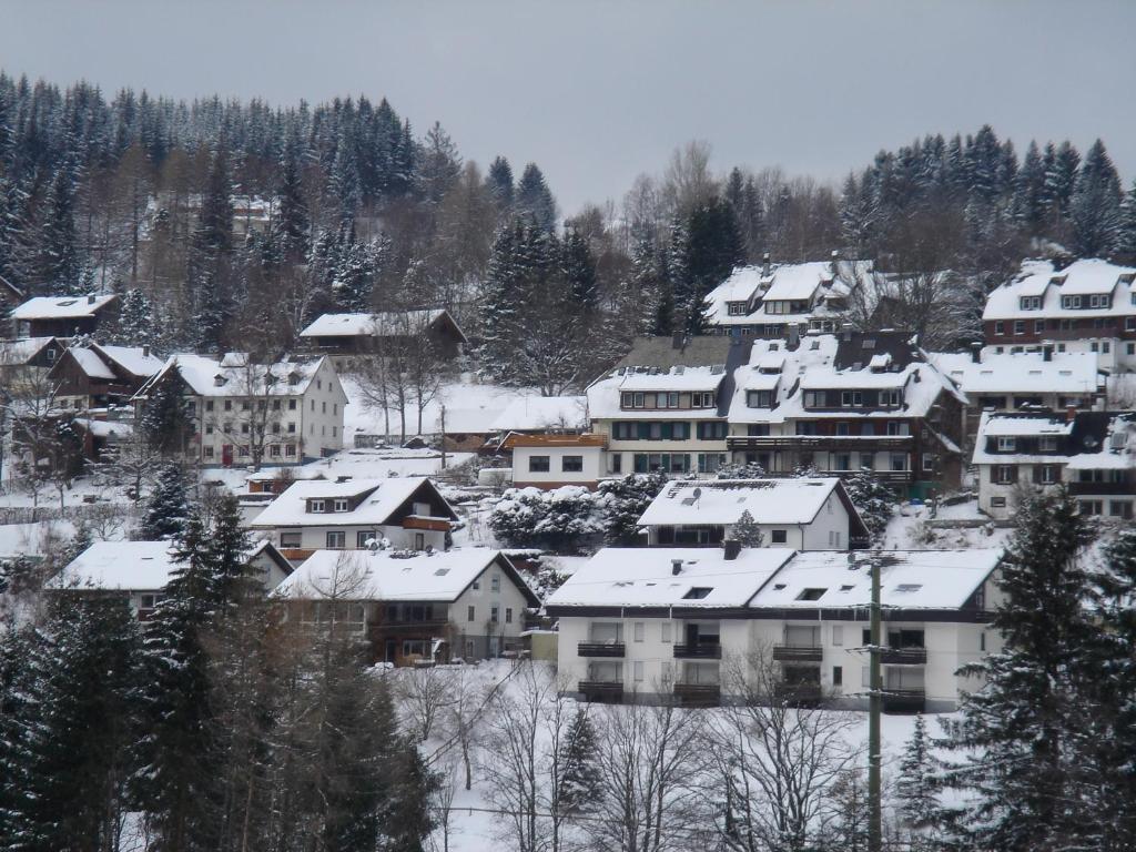 Pension Restaurant Waldblick Feldberg  Extérieur photo