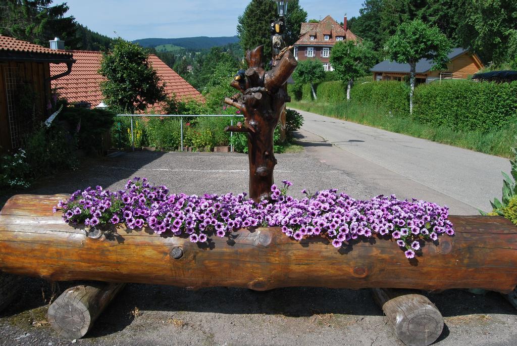 Pension Restaurant Waldblick Feldberg  Extérieur photo
